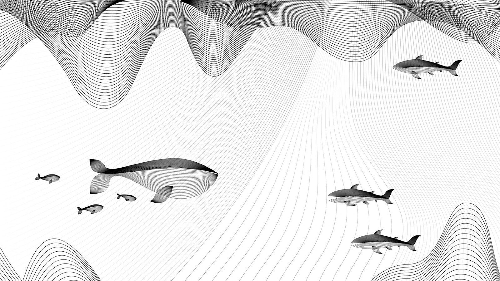 Manuel Schneuwly, ZHdK, 2014