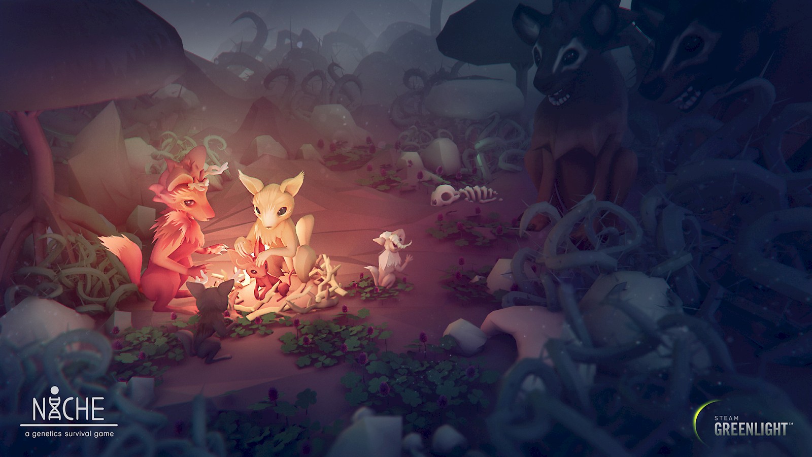 Community Building for Developers