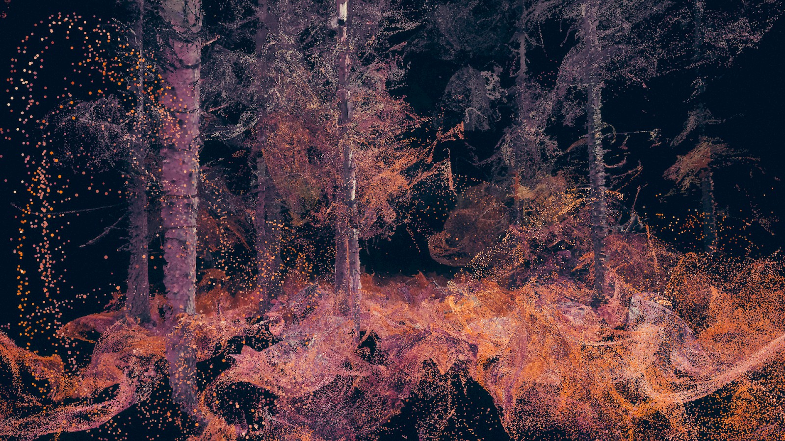 Kein Kino. Ersin Han Ersin. Marshmallow Laser Feast. In the Eyes of the Animal