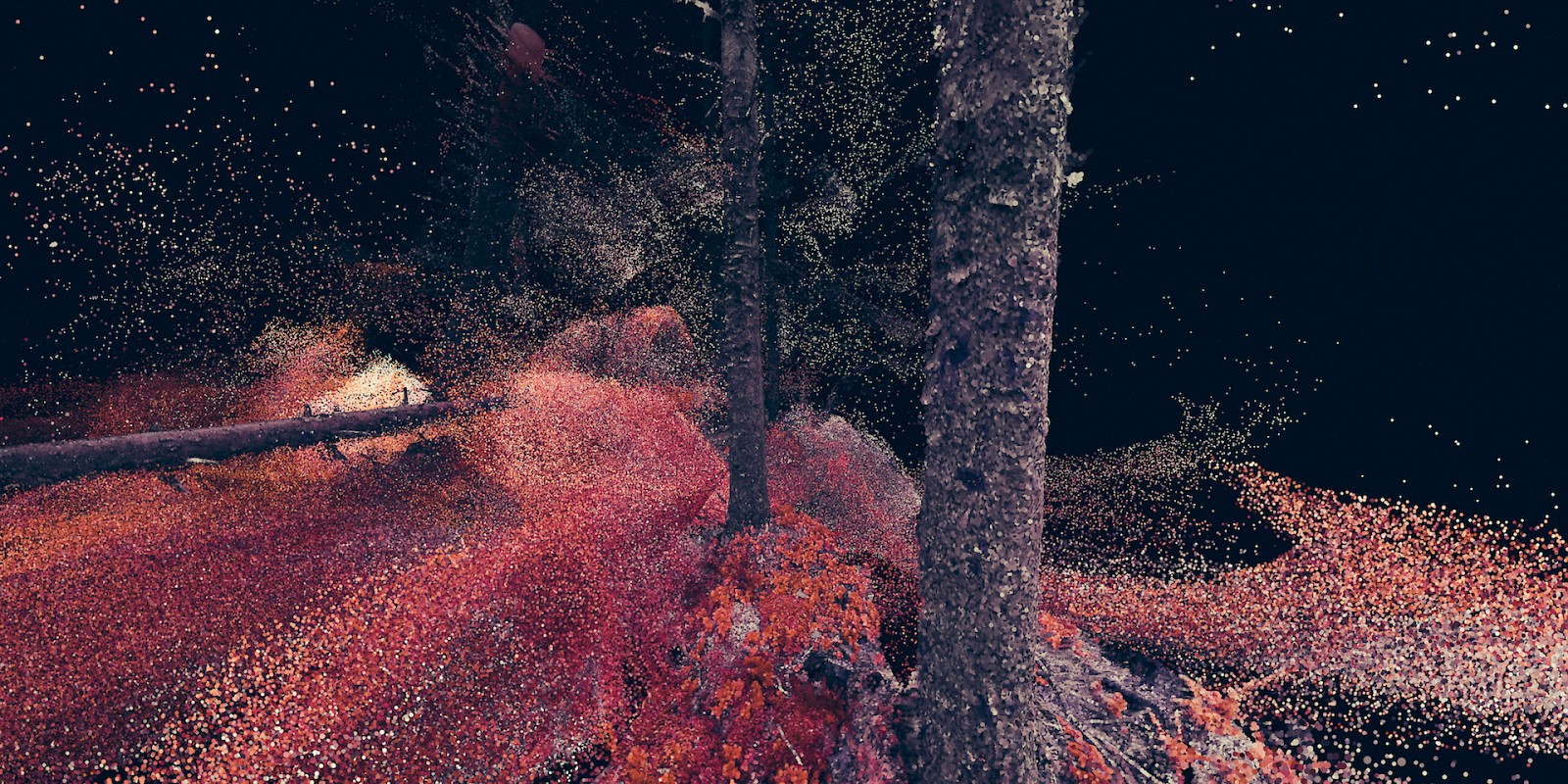 Kein Kino. Ersin Han Ersin. Marshmallow Laser Feast. In the Eyes of the Animal