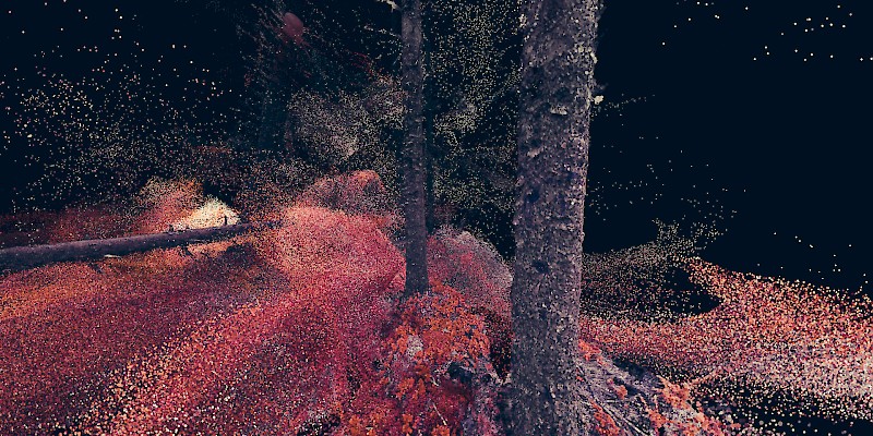 Kein Kino. Ersin Han Ersin. Marshmallow Laser Feast. In the Eyes of the Animal
