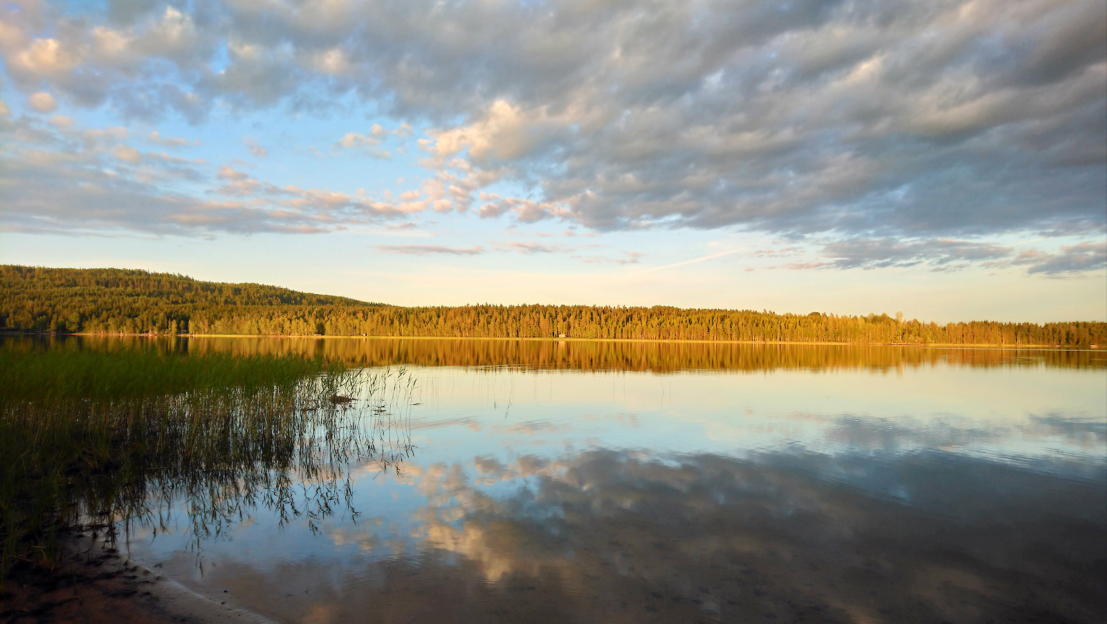 © Team Letters. Stugan 2018.