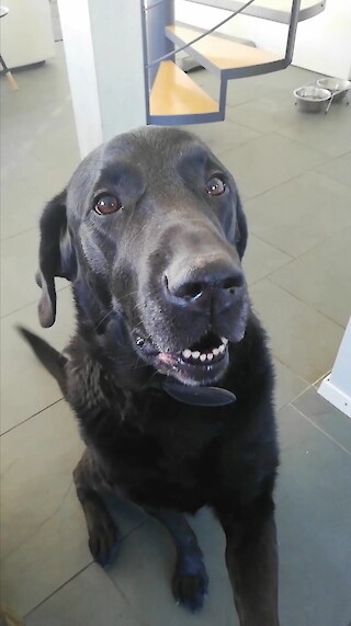 Pick of the day. © Luzia Hüttenmoser.