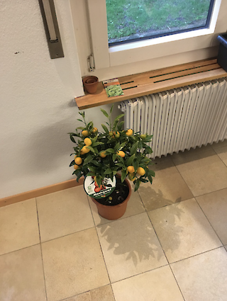 Pick of the Day. © Nils Lange.