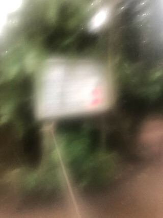 Picture of the Day. © Linn Spitz.