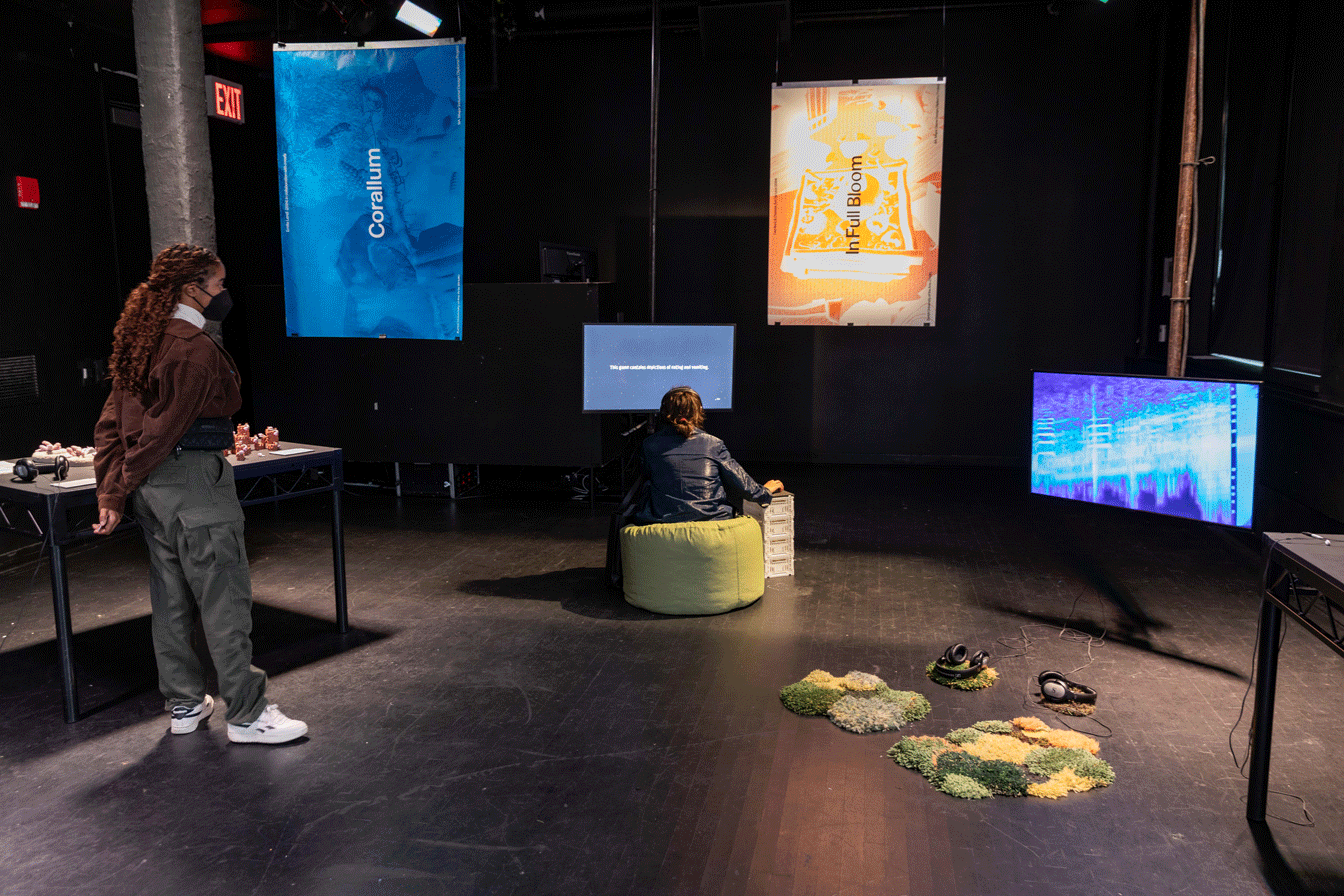 Foto: Cedrig Craig. © Swissnex Boston und New York.